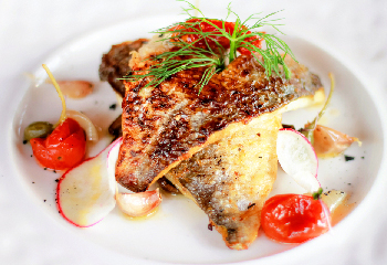 Snapper